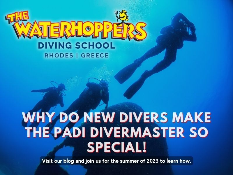 Why Do New Divers Make The PADI Divermaster So Special!